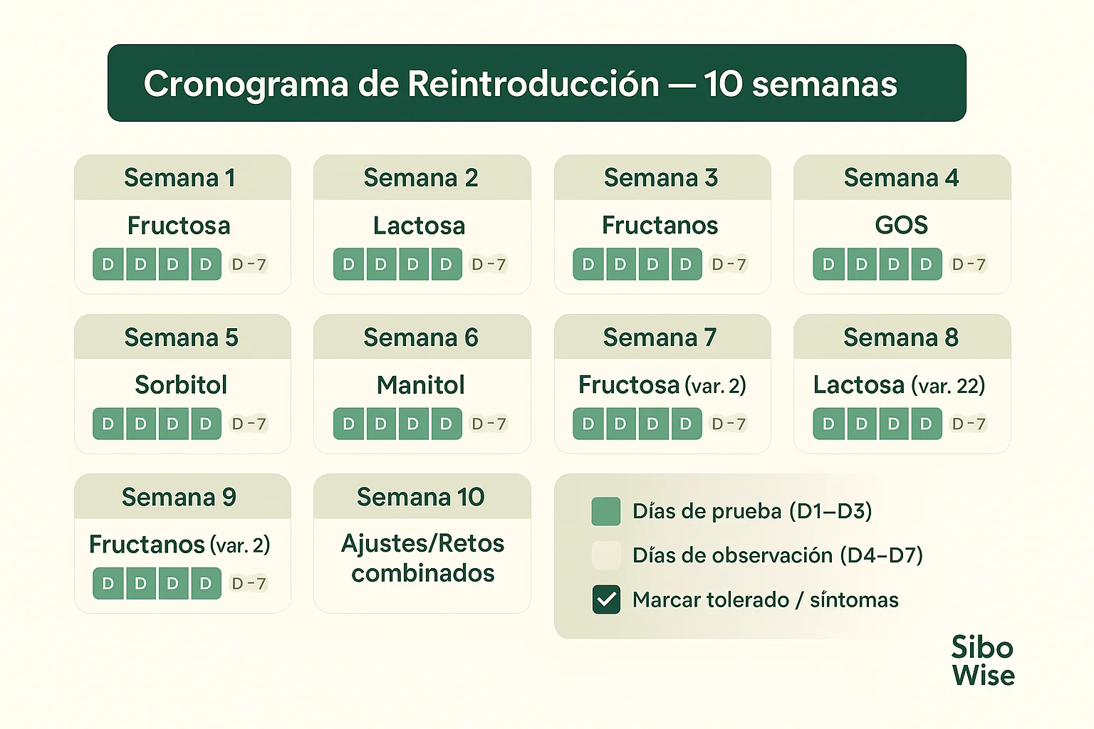Cuánto dura el SIBO: qué esperar semana a semana