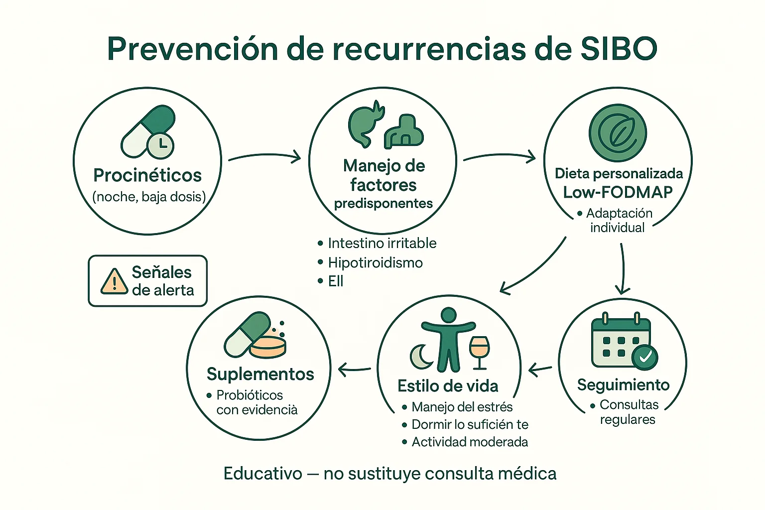 Por qué vuelve el SIBO: recaídas y cómo prevenirlas